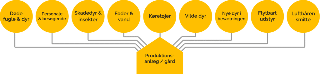Smitteveje ind i en produktionsbesætning: døde fugle og dyr, personale og besøgende, skadedyr og insekter, foder og vand, køretøjer, vilde dyr, nye dyr, flytbart udstyr og luftbåren smitte.